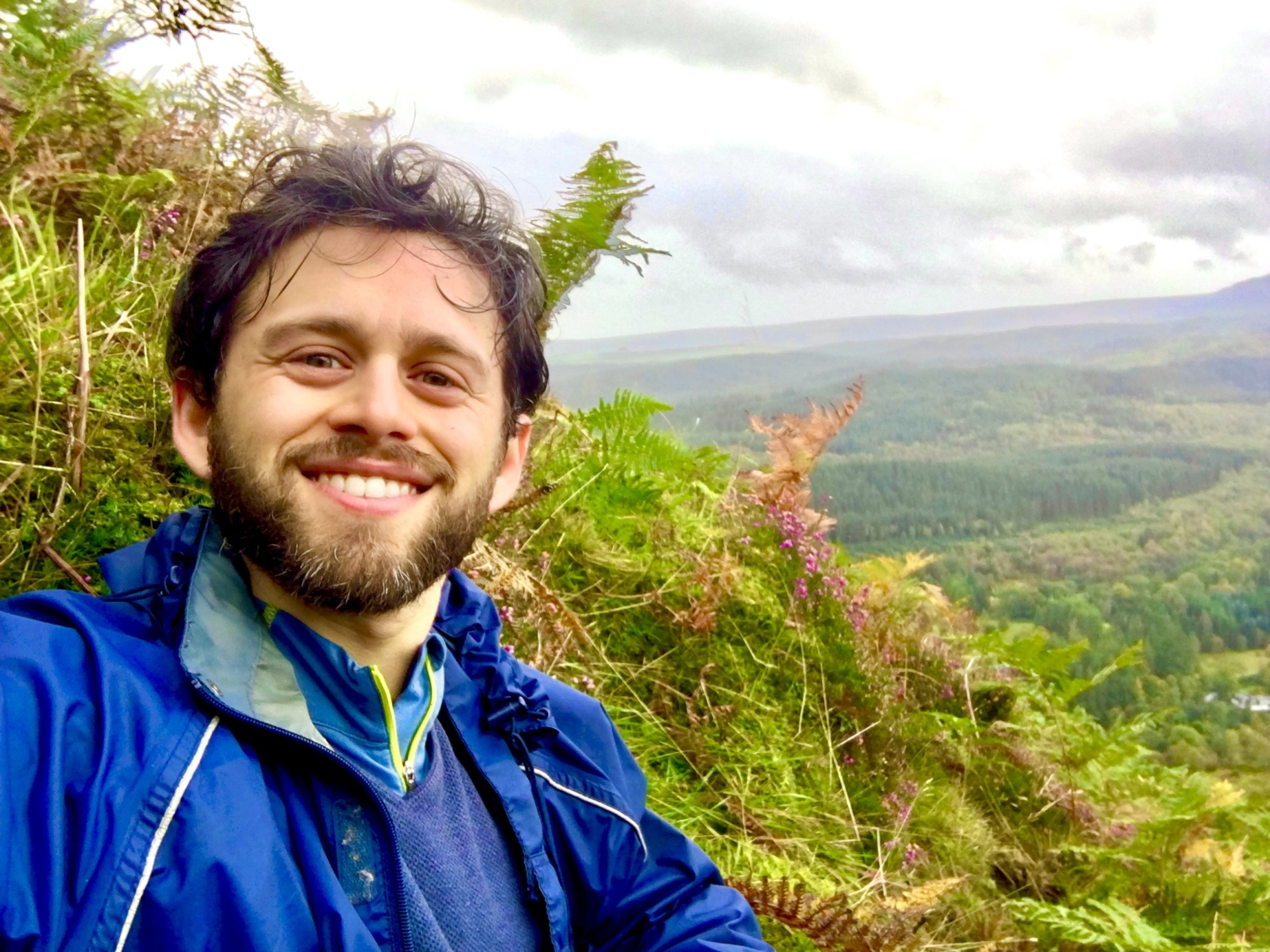 Wortzel overlooking forest in valley