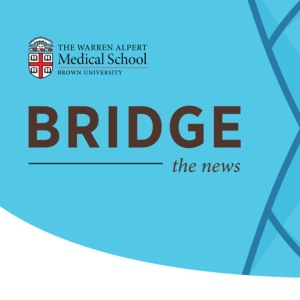 BRIDGE newsletter masthead