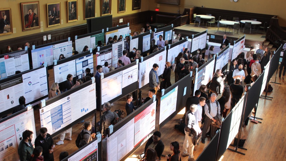 overhead shot of rows of posters